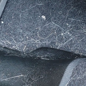 Photo of Autobell Car Wash