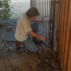 Photo of Jack of All Trades