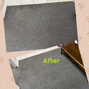 Photo of Doigg's Carpet Care & Restoration