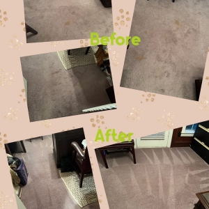 Photo of Doigg's Carpet Care & Restoration