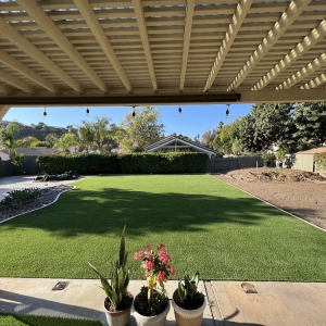 Photo of Ruby Turf Direct