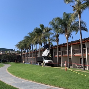 Photo of Alpha Demolition