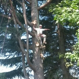 Milwaukie Anderson Landscape & Tree Service