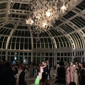 Brooklyn The Palm House