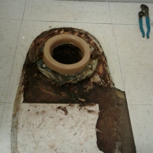 Photo of VanGo Rooter