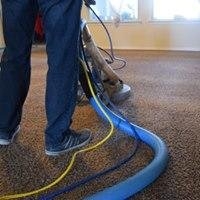 Photo of Ace Carpet Cleaning