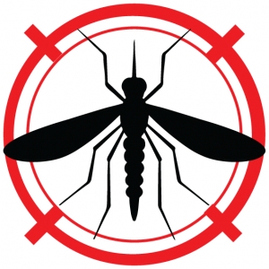 Photo of Charlotte Mosquito Exterminator