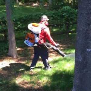 Photo of Charlotte Mosquito Exterminator