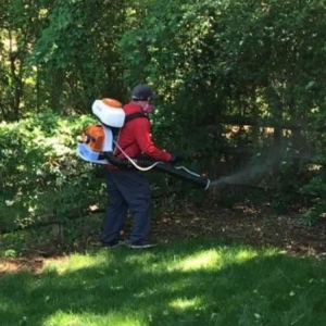 Photo of Charlotte Mosquito Exterminator