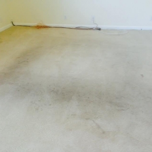 Photo of Bee Green Floor Care