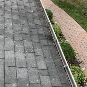 Photo of Rodrigue's Landscaping