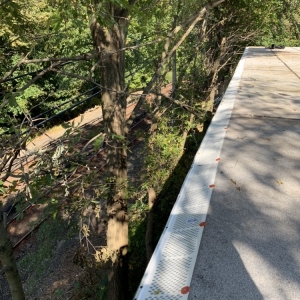 Photo of Rodrigue's Landscaping