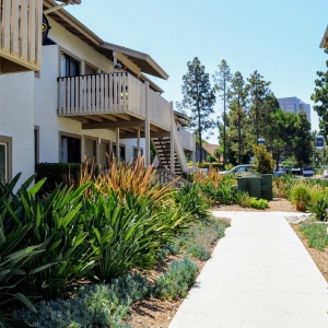 Photo of La Jolla Canyon