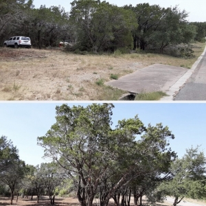 Photo of Texas Land Stewards