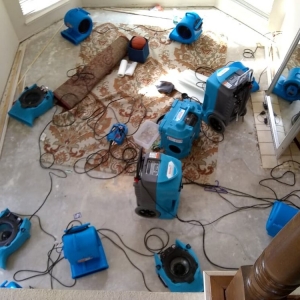 Photo of Restoration 1 of Denton & Frisco