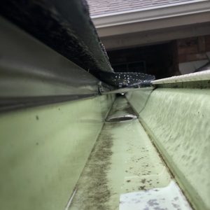 Arlington Gutter Debris Service