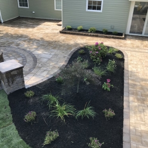 Photo of Cousin's Garden Design