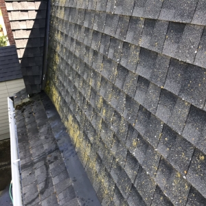 Photo of All Clear Services