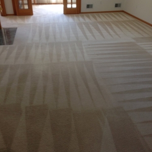 Photo of At Last Carpet Cleaning