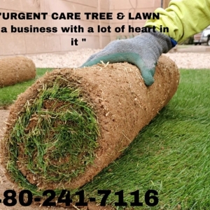 Photo of Urgent Care Tree & Lawn