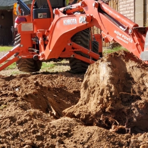 Photo of Urgent Care Tree & Lawn