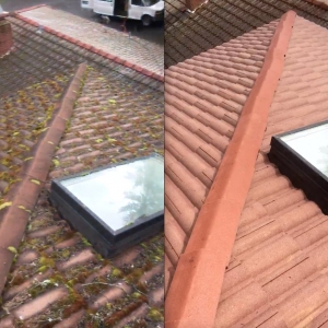 Photo of Roof Life of Oregon