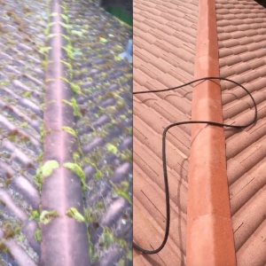 Photo of Roof Life of Oregon