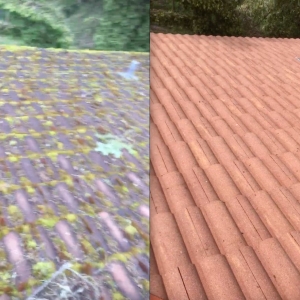 Photo of Roof Life of Oregon