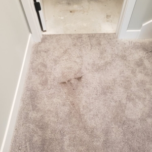 Photo of AAHS Carpet Cleaning