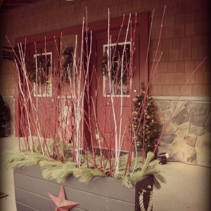 Photo of Liberty Environmental Management