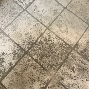 Photo of Bee Clean Services