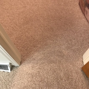 Photo of Bee Clean Services