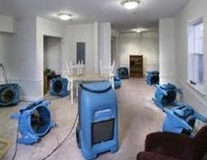 Photo of Premier One Home Services