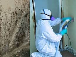 Photo of Premier One Home Services