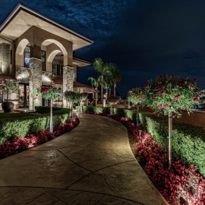 Photo of Innovative Light Designs