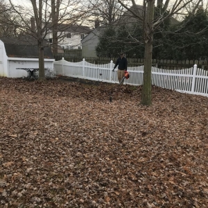 Photo of Allen Lawn Service