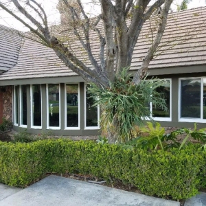 Photo of Safeguard Windows and Doors