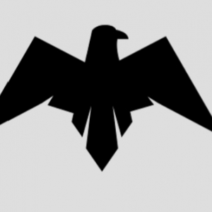 Chula Vista Client Hawk Marketing
