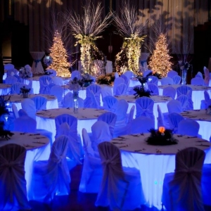 Photo of Portland Wedding Lights & Event Lighting