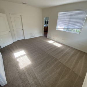 Photo of Vision Carpet