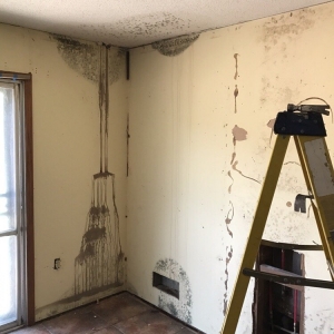 Photo of ACS Restore