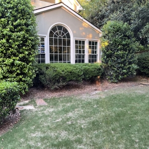 Photo of Total Lawn