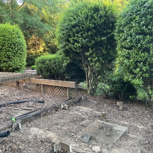 Photo of Total Lawn