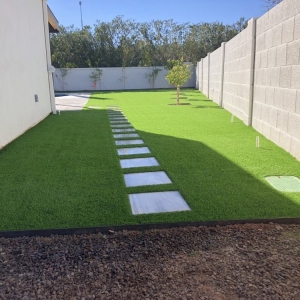 Phoenix Amazing Turf co