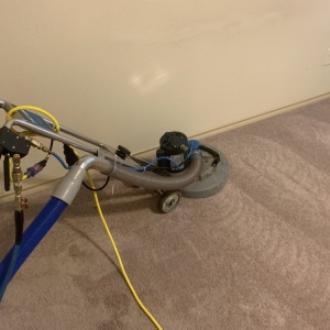 Photo of All Action Water Extraction and Carpet Cleaning
