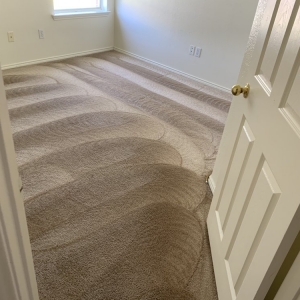 Photo of All Action Water Extraction and Carpet Cleaning