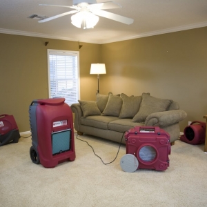 Photo of Puroclean Water, Fire & Mold Experts