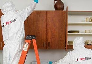 Photo of Puroclean Water, Fire & Mold Experts