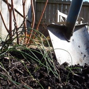 Pittsburgh Cardinal Landscape Services