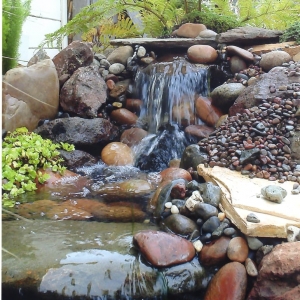 Photo of Danscapes